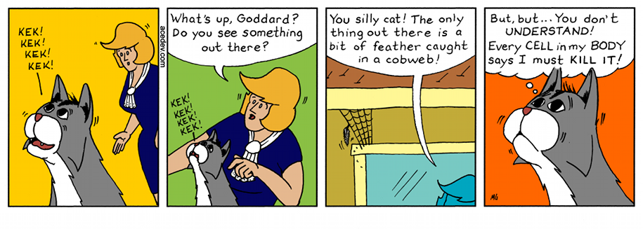 acedev comic, webcomic for Friday 02 Jun 2017
